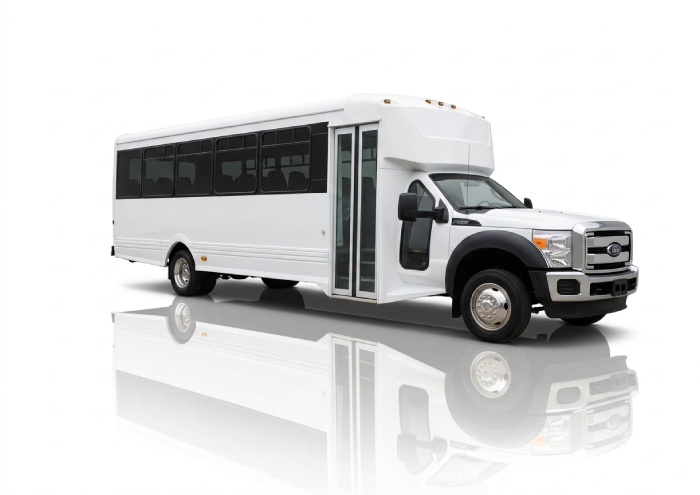 Party Bus-25